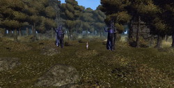 Dive_La Storia infinitaa -_0005.jpg